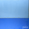Painting # 401 - by Akira Iha - Acrylic on Paper - 48 x 72 inches - Year 2001 - at Paia Contemporary Gallery