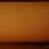 Still 2 -by David Ivan Clark - oil on stainless steel - 27 x 40 x 2 inches - year 2010 - at Paia Contemporary Gallery