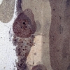 Linear Variation # 116 - by Kenn Briner - 35mm photograph - 30  x 20 inches - custom sizes available - 2010 - at Paia Contemporary Gallery