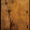 Linear Variation # 57 - by Kenn Briner - 35mm photograph - 30  x 20 inches - custom sizes available - 2008 - at Paia Contemporary Gallery