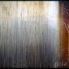Linear Variation # 67 - by Kenn Briner - 35mm photograph - 20  x 30 inches - custom sizes available - 2008 - at Paia Contemporary Gallery
