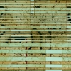 Notabilia - by Michael Kessler - acrylic on panel - 40 x 60 x  inches - year 2010 - at Paia Contemporary Gallery