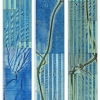 Abstract artwork by abstract artist Michael Kessler at www.paiacontemporarygallery.com