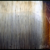 Linear Variation # 67 - by Kenn Briner - 35mm photograph - 20  x 30 inches - custom sizes available - 2008 - at Paia Contemporary Gallery