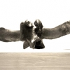 Bone - by William Neil - Bovine Vertebrae - Bronze casting - Color black - 11 x 5 x 3 - at Paia Contemporary Gallery