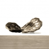 Ear Pod - by William Neil - Enterlolbium Cycloarpum - Bronze casting - Color black - 5 x 3 1/2 x 2 - at Paia Contemporary Gallery